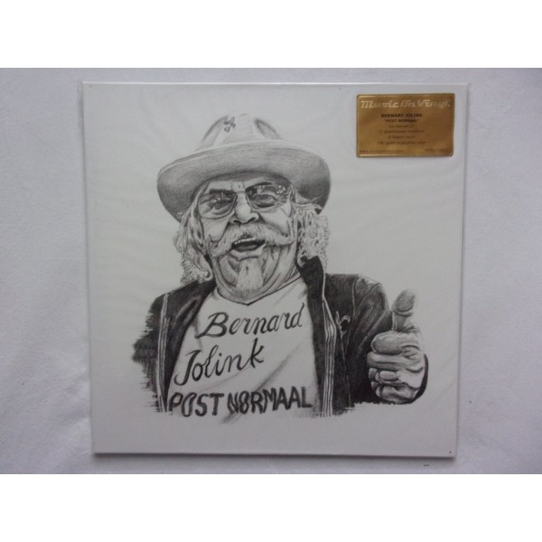 Bernard Jolink - Post normaal