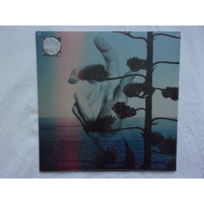 Alpha Whale - Alpha whale