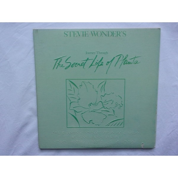 Stevie Wonder - The secret life of plants