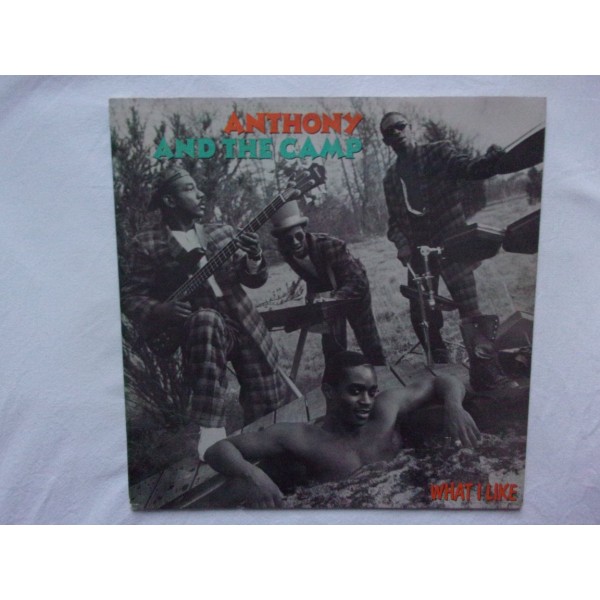 Anthony and the camp - What i like