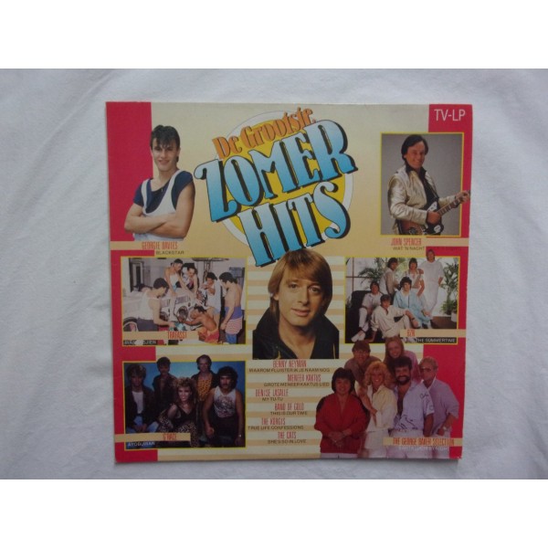 De grootste zomer hits